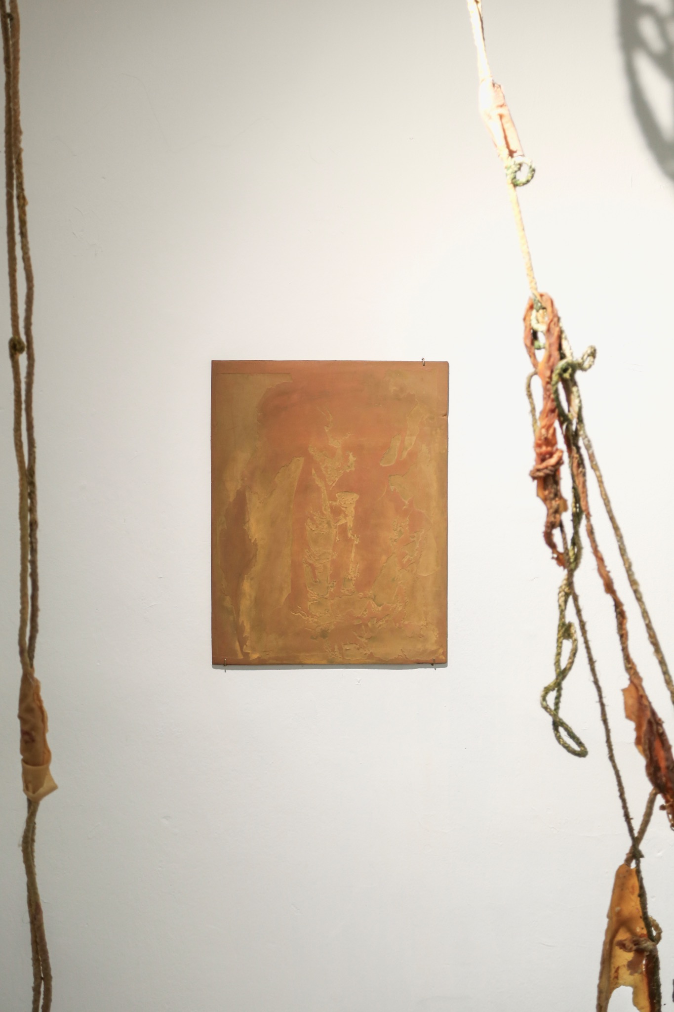 Tendrils, view 3